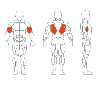 LS-026坐式低拉背练习器