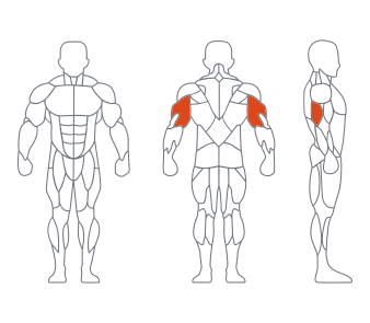 GL-7007三头下压训练器 GL-7007三头下压训练器